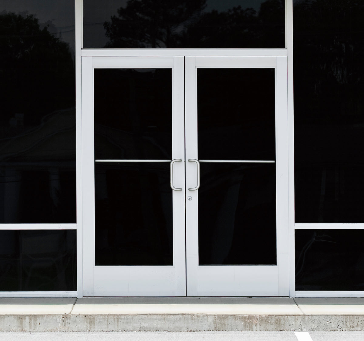 Commercial Door