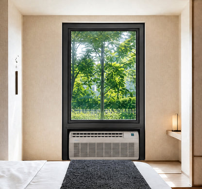 PTAC Window